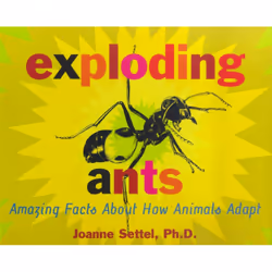 ISBN Exploding Ants, Anglais, Couverture rigide, 40 pages