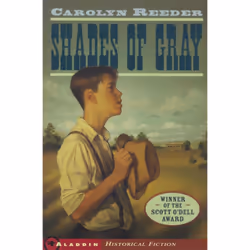 ISBN Shades of Gray, Anglais, Livre de poche, 160 pages