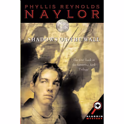 ISBN Shadows on the Wall, Anglais, Livre de poche, 192 pages