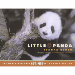 ISBN Little Panda, Anglais, Livre de poche, 32 pages