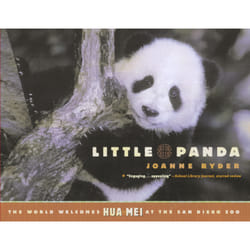 ISBN Little Panda Livre de poche