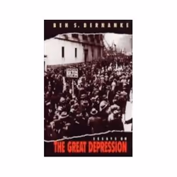 ISBN Essays on the Great Depression, Business &amp; finance, Anglais, 320 pages