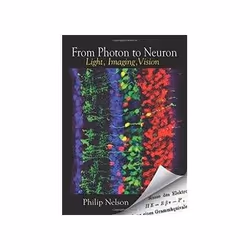ISBN From Photon to Neuron: Light, Imaging, Vision, Anglais, 512 pages