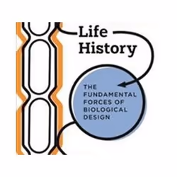 ISBN Microbial Life History : The Fundamental Forces of Biological Design, Science & nature, Anglais, Livre broché, 400 pages