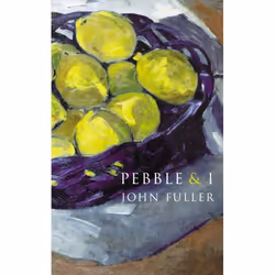 ISBN Pebble &amp; I, Anglais, Livre broché, 96 pages