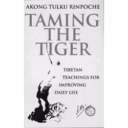 ISBN Taming The Tiger, Anglais, Livre broché, 208 pages