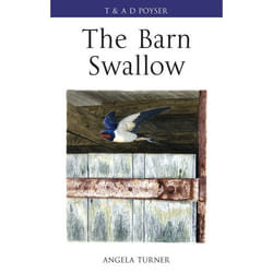 ISBN The Barn Swallow livre Anglais Couverture rigide 256 pages