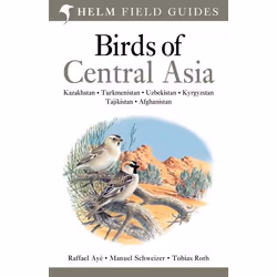 ISBN Birds of Central Asia, Anglais, Livre broché, 336 pages