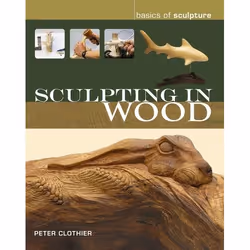 ISBN Sculpting in Wood, Art & design, Anglais, Livre broché, 128 pages
