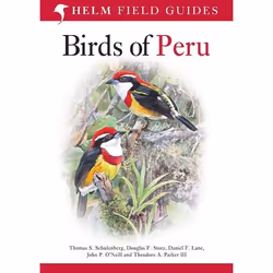 ISBN Birds of Peru, Anglais, Livre broché, 656 pages