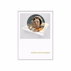 ISBN Robert Rauschenberg: Phaidon Focus, Art &amp; design, Anglais, Couverture rigide, 144 pages