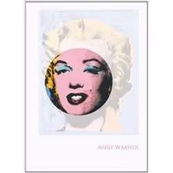 ISBN Andy Warhol : Phaidon Focus, Art &amp; design, Anglais, Couverture rigide, 144 pages