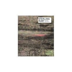 ISBN Sterling Ruby: Contemporary Artists Series livre Art & design Anglais
