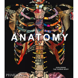 Anatomy