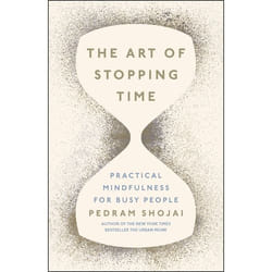 ISBN The Art of Stopping Time