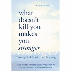 ISBN What Doesn't Kill You Makes You Stronger, Education, Anglais, Livre broché, 256 pages