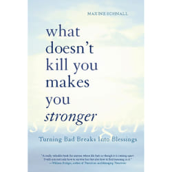 ISBN What Doesn't Kill You Makes You Stronger livre Education Anglais
