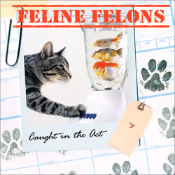 ISBN Feline Felons, Animaux, Anglais, Couverture rigide, 64 pages