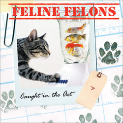 ISBN Feline Felons livre Animaux Anglais Couverture rigide