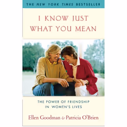 ISBN I Know Just What You Mean, Anglais, Livre de poche, 304 pages