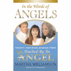 ISBN In the Words of Angels, Anglais, Livre de poche, 288 pages