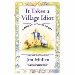 ISBN It Takes a Village Idiot, Anglais, Livre de poche, 224 pages