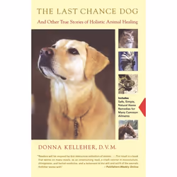 ISBN The Last Chance Dog, Anglais, Livre de poche, 288 pages