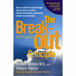 ISBN The Breakout Principle, Anglais, Livre de poche, 336 pages