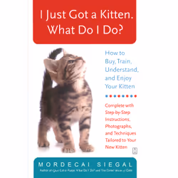 ISBN I Just Got a Kitten. What Do I Do?, Anglais, Livre de poche, 224 pages