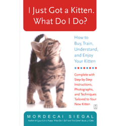 ISBN I Just Got a Kitten. What Do I Do? Livre de poche