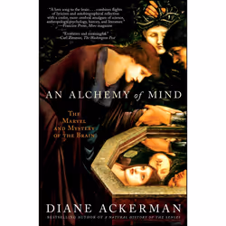 ISBN An Alchemy of Mind, Anglais, Livre de poche, 320 pages