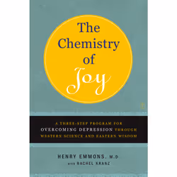 ISBN The Chemistry of Joy, Anglais, Livre de poche, 304 pages