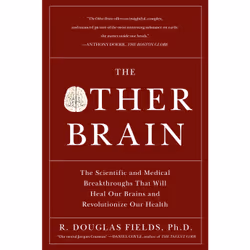 ISBN The Other Brain, Anglais, Livre de poche, 384 pages