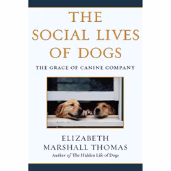 ISBN The Social Lives of Dogs, Anglais, Livre de poche, 256 pages