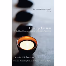 ISBN Healing Lazarus, Anglais, Livre de poche, 288 pages