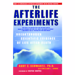 ISBN The Afterlife Experiments, Anglais, Livre de poche, 400 pages
