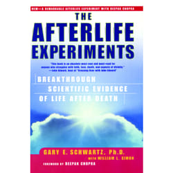 ISBN The Afterlife Experiments livre Anglais Livre de poche 400 pages