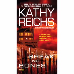 ISBN Break No Bones, fiction litéraire, Anglais, Livre broché, 480 pages