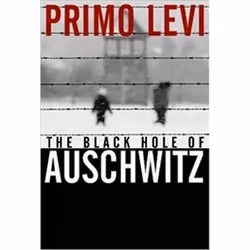ISBN Black Hole of Auschwitz, histoire, Anglais, 240 pages