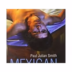 ISBN Mexican Screen Fiction : Between Cinema and Television, Pellicule, Anglais, Couverture rigide, 296 pages