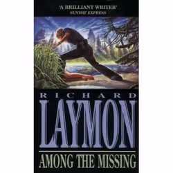 Headline AMONG THE MISSING, Livre broché, 307 pages