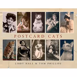 Allen & Unwin Postcard Cats, Art & design, Anglais, 160 pages