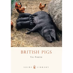 ISBN British Pigs, Anglais, Livre broché, 56 pages