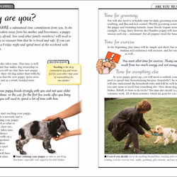 ISBN KISS Guide To Raising a Puppy livre Science & nature Anglais