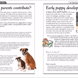 ISBN KISS Guide To Raising a Puppy livre Science & nature Anglais