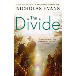 Warner Books THE DIVIDE