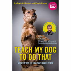 ISBN Teach My Dog To Do That, Anglais, Couverture rigide, 128 pages