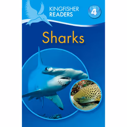 ISBN Kingfisher Readers: Sharks (Level 4: Reading Alone), Anglais, Livre broché, 32 pages