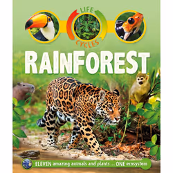 ISBN Life Cycles: Rainforest, Anglais, Livre broché, 32 pages