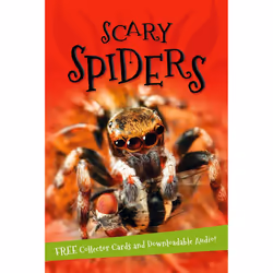 ISBN It's all about... Scary Spiders, Anglais, Livre broché, 32 pages